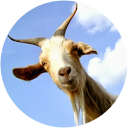 emm richards profile picture